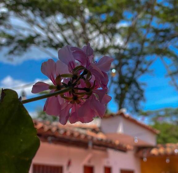 هتل Campestre La Trinidad