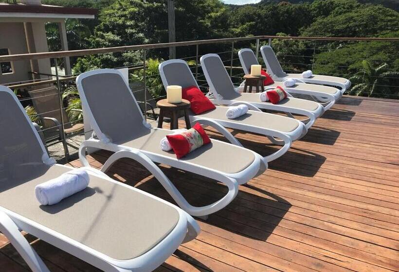 فندق La Gaviota Tropical