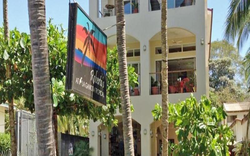 فندق La Gaviota Tropical