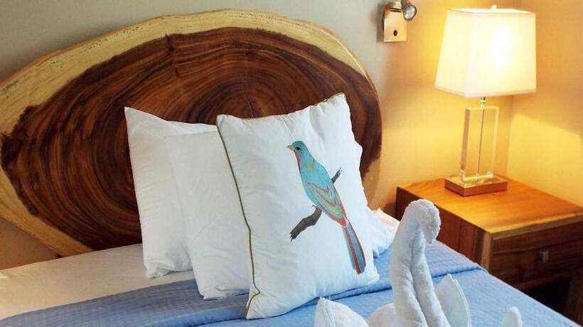 فندق La Gaviota Tropical