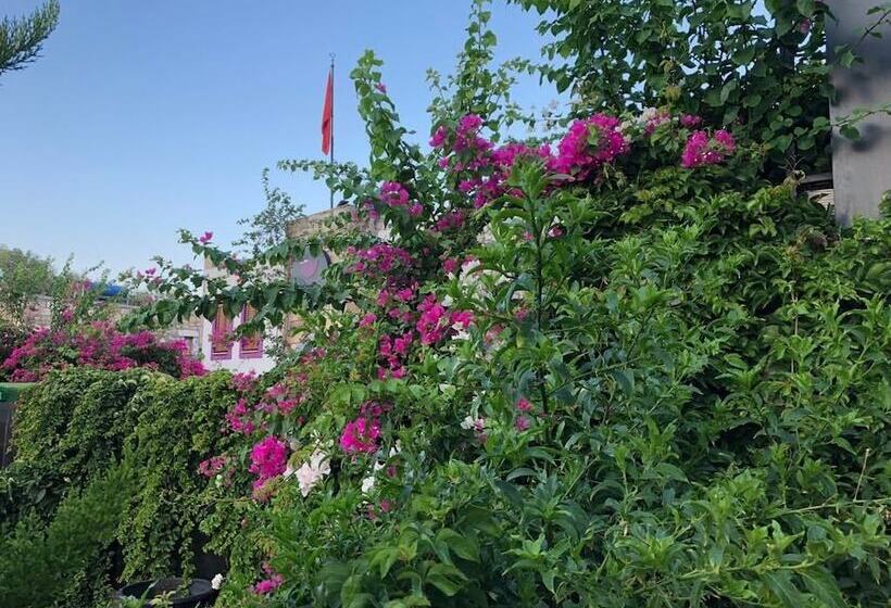 בית מלון כפרי Wish Suites Bodrum
