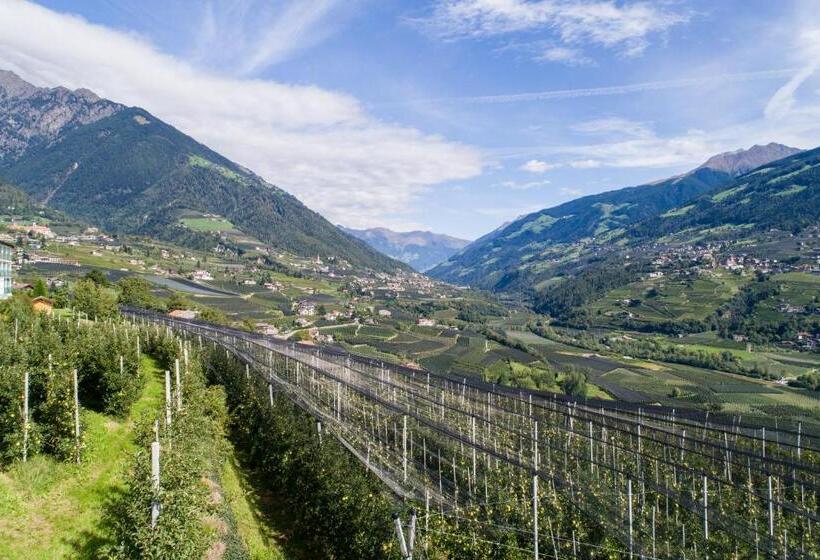 Отель Vinea The Living Experience