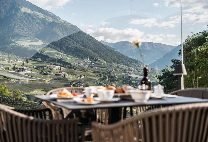 Отель Vinea The Living Experience