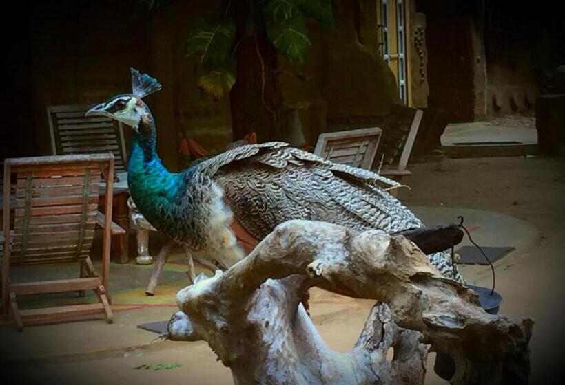 Humbhaha Jungle Yala Nature Eco Resort