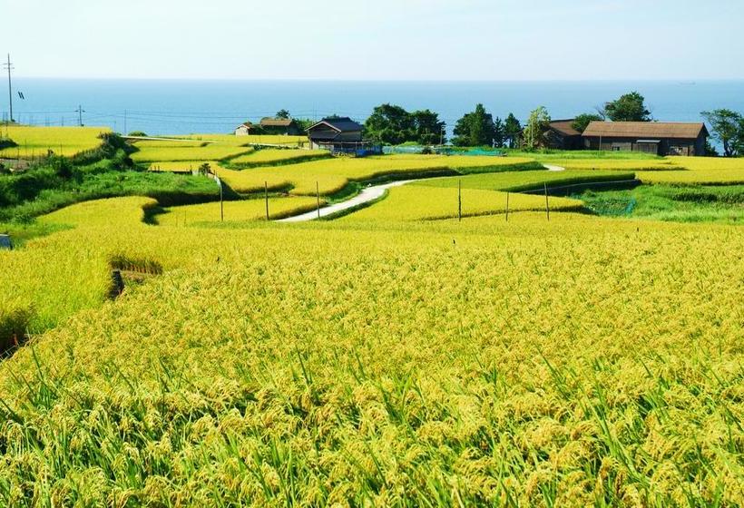 Рёкан Tango Onsen Hashiudosou