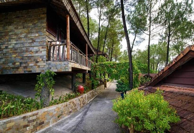 Sankofa Village Hill Resort And Spa