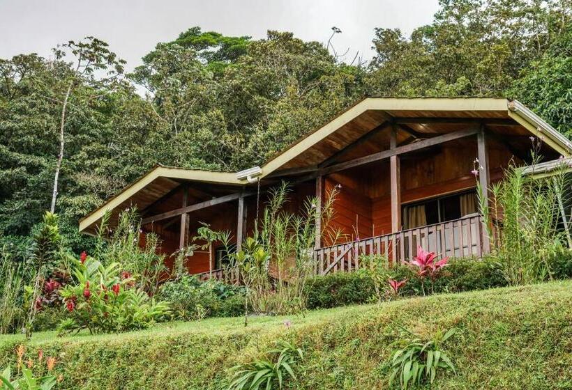 Hospedaria Heliconias Rainforest Lodge