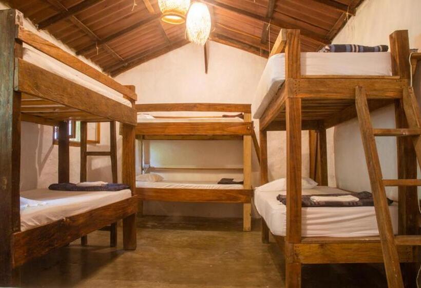 هاستل Masaya Casas Viejas