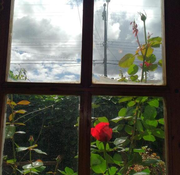 Hostel Posada La Piedra