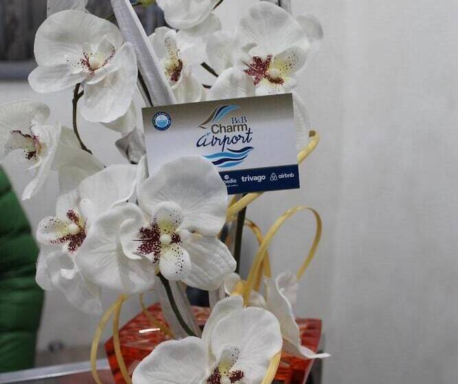 Bed and Breakfast Charm Airport