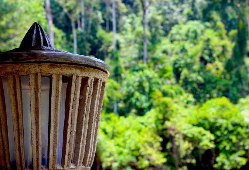 تختخواب و صبحانه Ecotravel Cottages Bukit Lawang