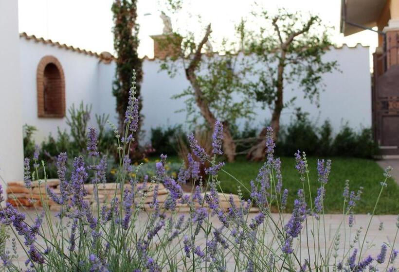 ベッドアンドブレックファースト Emotions