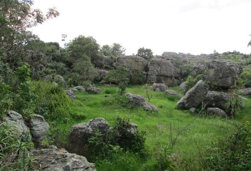 צימר Kattekwaad Accommodation