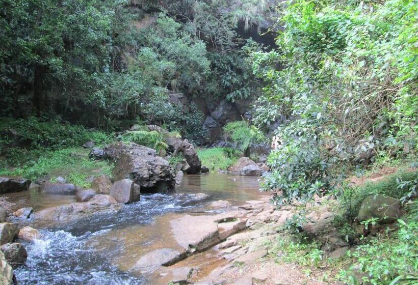 צימר Kattekwaad Accommodation