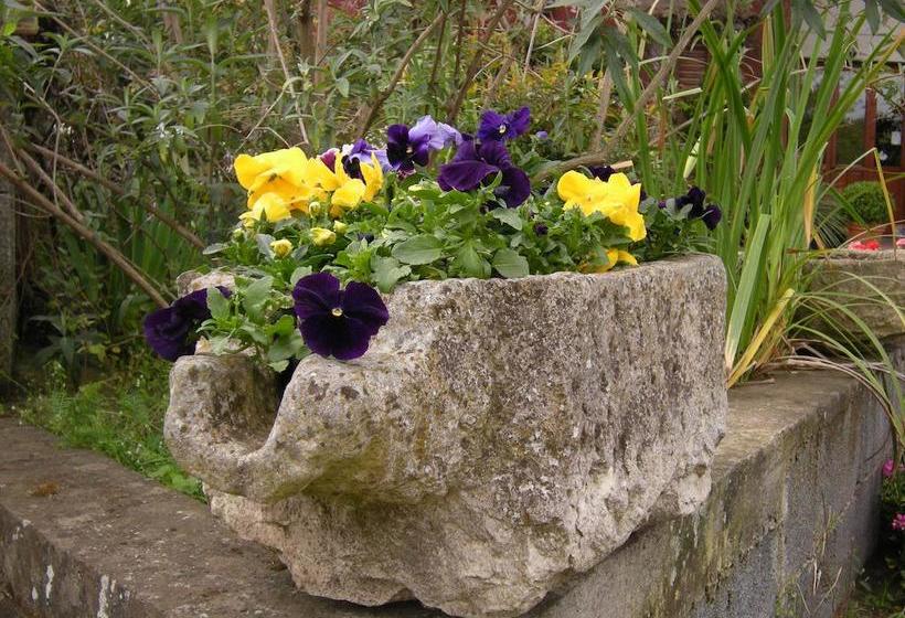 مبيت وإفطار L Albero Di Alberto