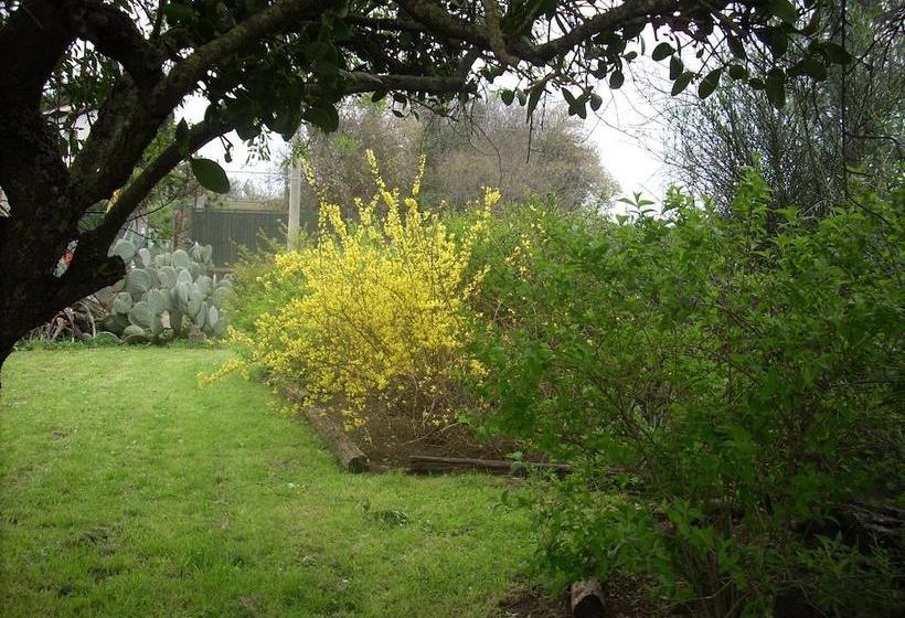 مبيت وإفطار L Albero Di Alberto