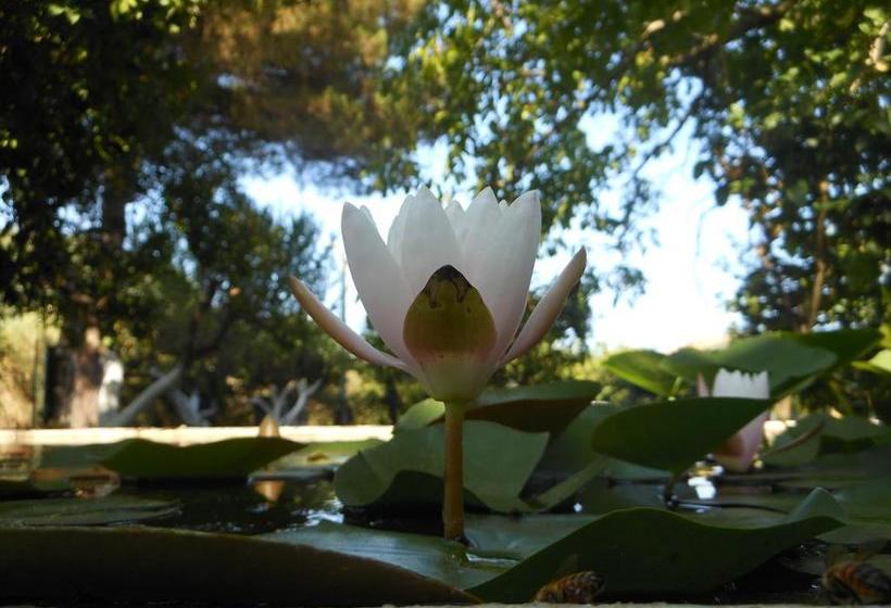 مبيت وإفطار L Albero Di Alberto