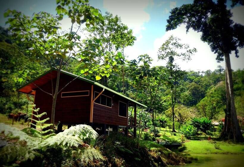 مبيت وإفطار Mei Tai Cacao Lodge