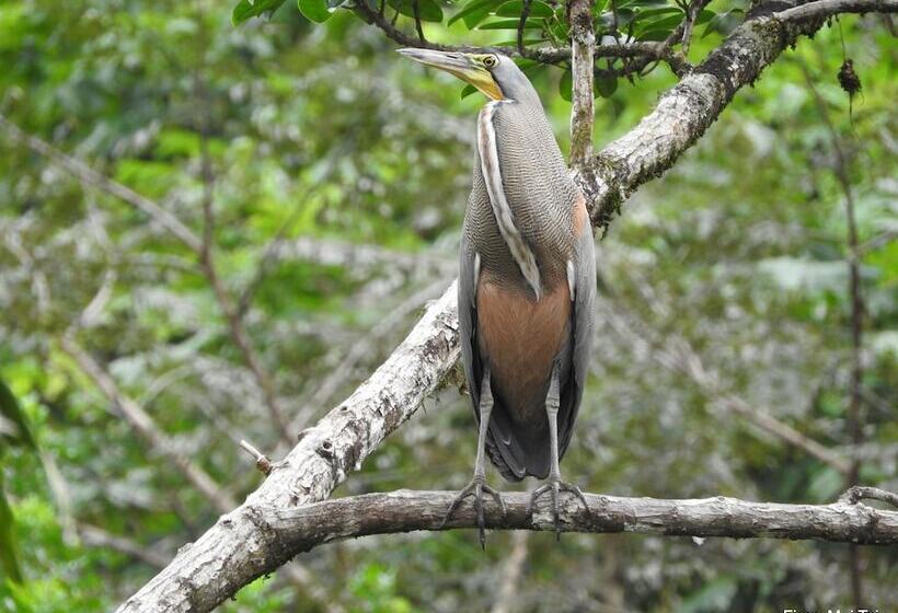 مبيت وإفطار Mei Tai Cacao Lodge