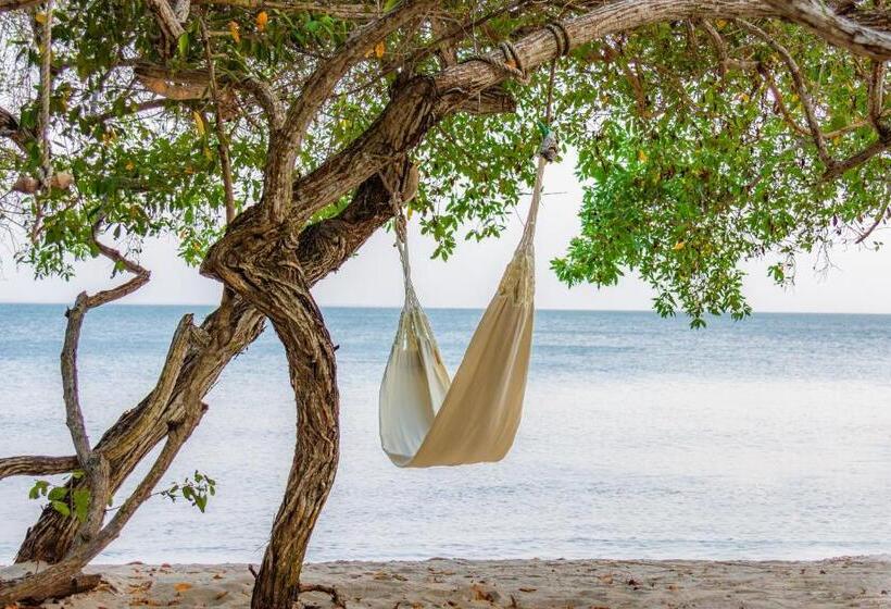 ベッドアンドブレックファースト Playa Manglares Isla Baru