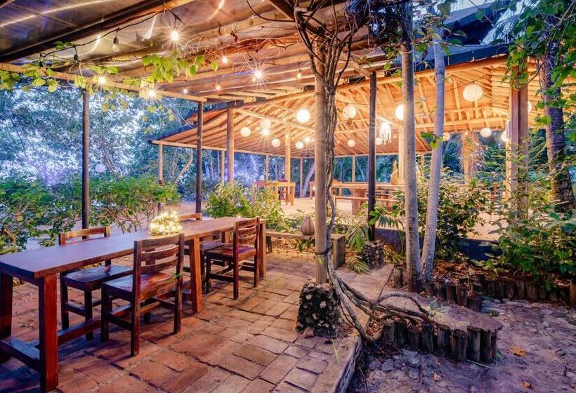 ベッドアンドブレックファースト Playa Manglares Isla Baru