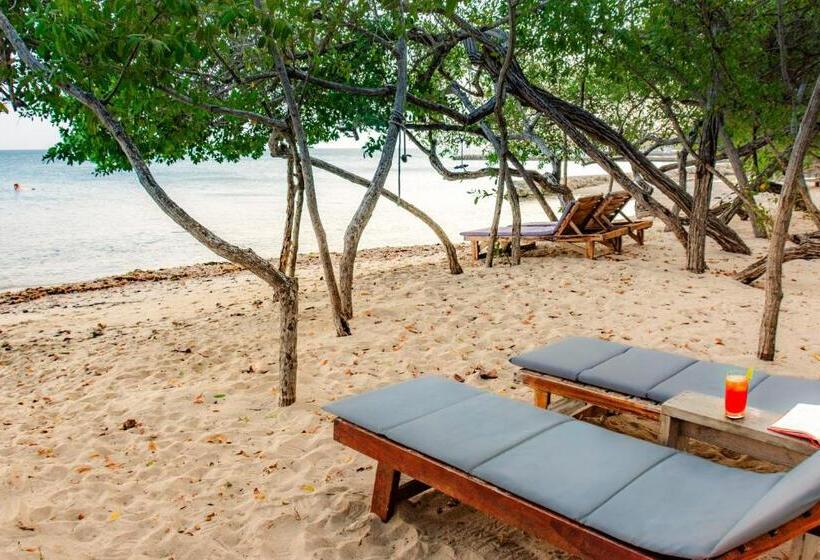 ベッドアンドブレックファースト Playa Manglares Isla Baru