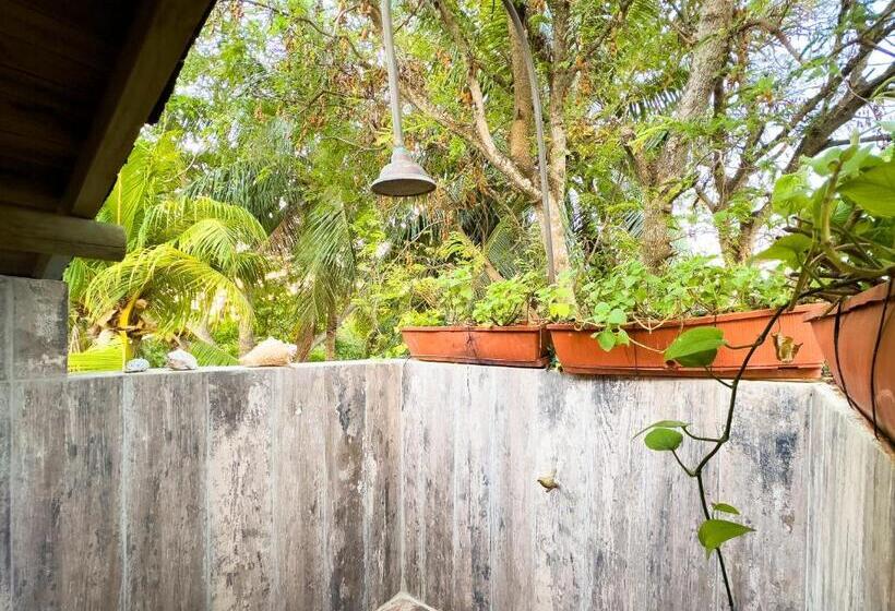 ベッドアンドブレックファースト Playa Manglares Isla Baru