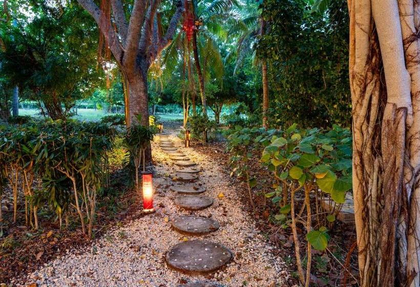 ベッドアンドブレックファースト Playa Manglares Isla Baru