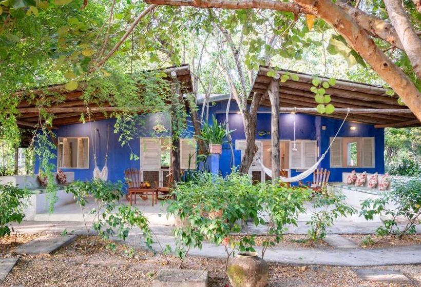 ベッドアンドブレックファースト Playa Manglares Isla Baru