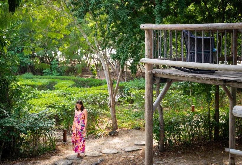 ベッドアンドブレックファースト Playa Manglares Isla Baru