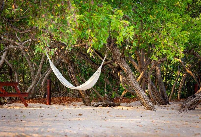 ベッドアンドブレックファースト Playa Manglares Isla Baru