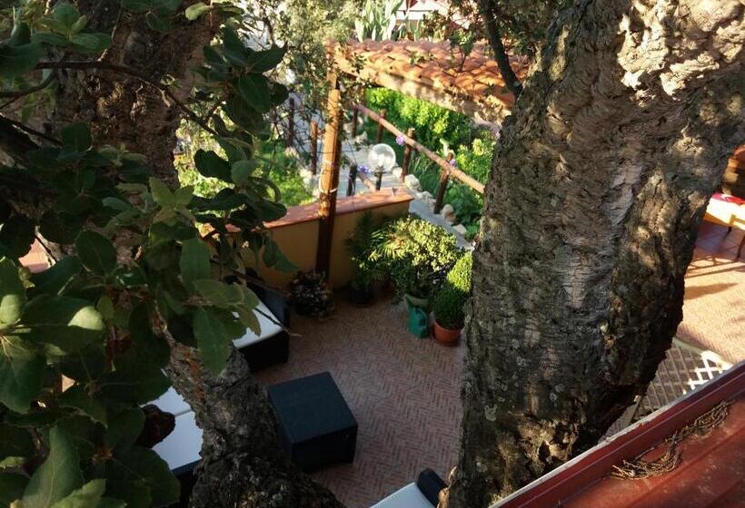 مبيت وإفطار S'arriali Ranch