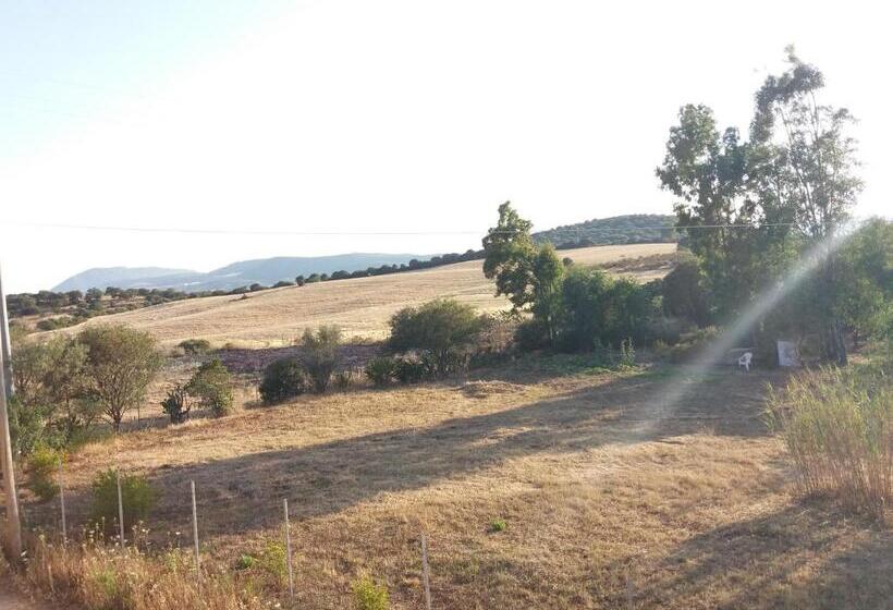 مبيت وإفطار S'arriali Ranch