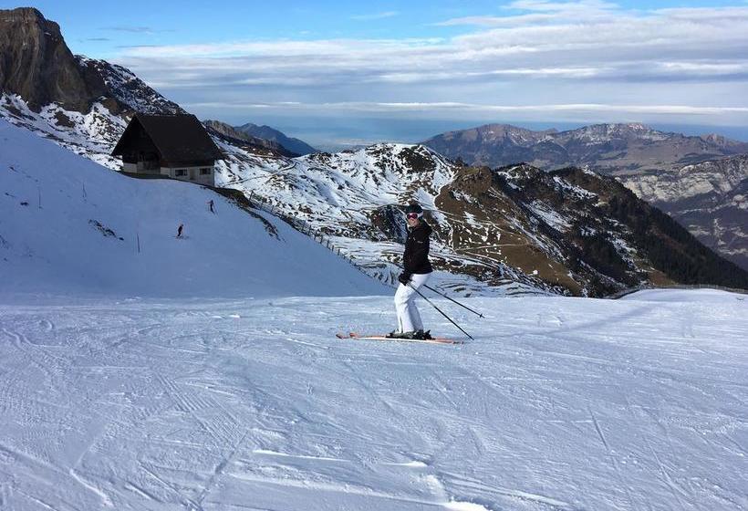 住宿加早餐 Spring Inn