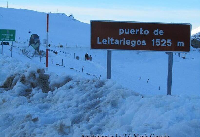 مبيت وإفطار Tía María