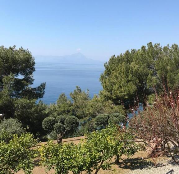 مبيت وإفطار Zia Yaya