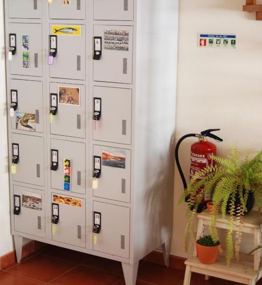 Hakuna Matata Hostel