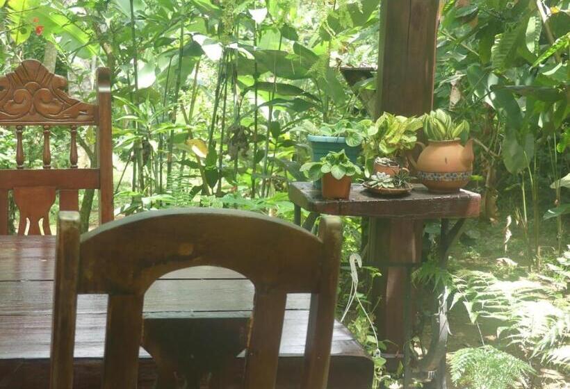 فندق Cacao Río Celeste