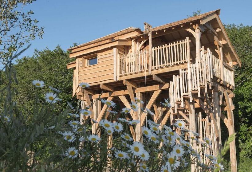 Отель Dihan Evasion