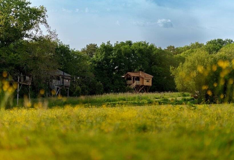 Отель Dihan Evasion