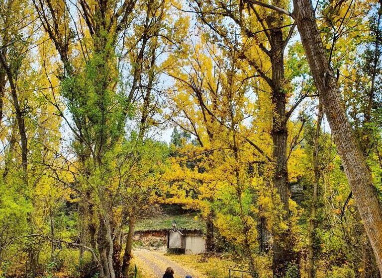 Отель Finca Rincón De La Vega