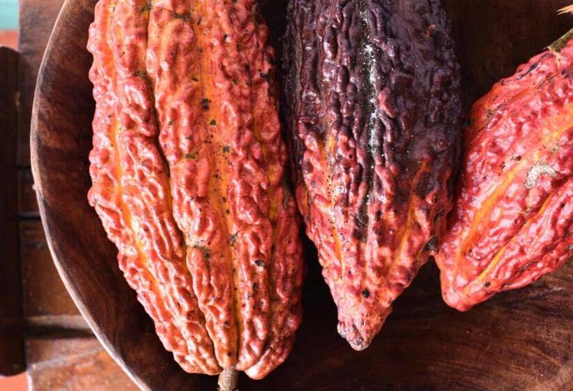 酒店 Hacienda Bambusa