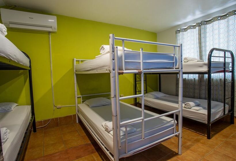 فندق Hostel The Pod 33