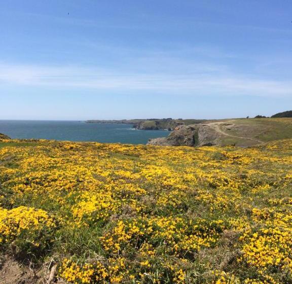 酒店 Hôtel Restaurant Corto Maltese