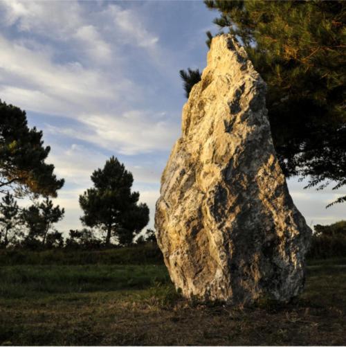 ホテル Hôtel Restaurant Corto Maltese