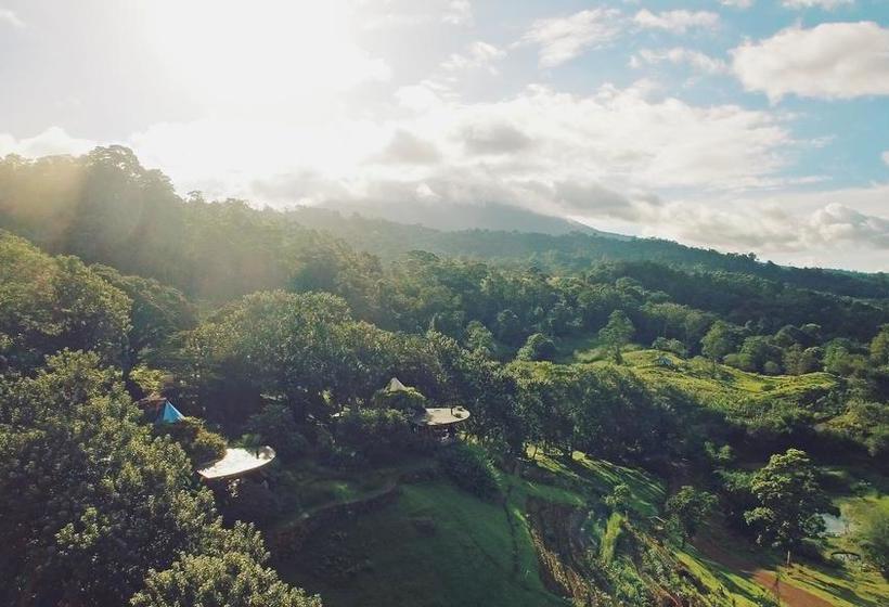 בית מלון כפרי Origins Lodge