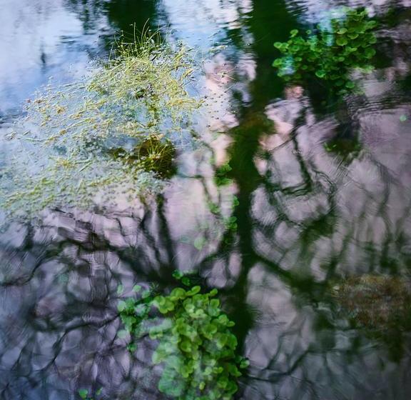 בית מלון כפרי Origins Lodge