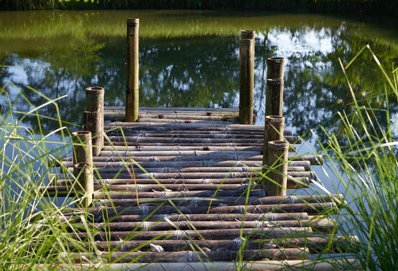 בית מלון כפרי Origins Lodge