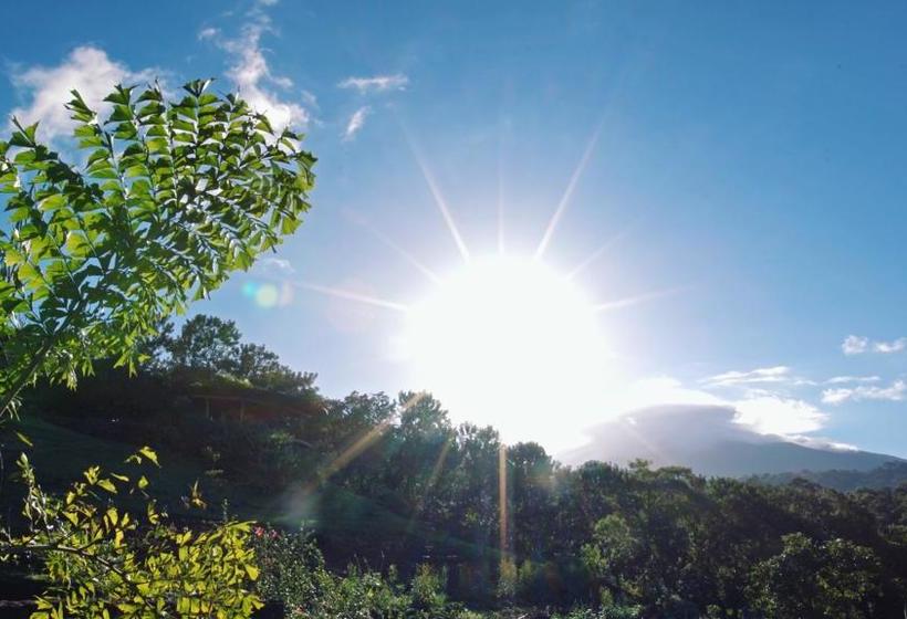 בית מלון כפרי Origins Lodge