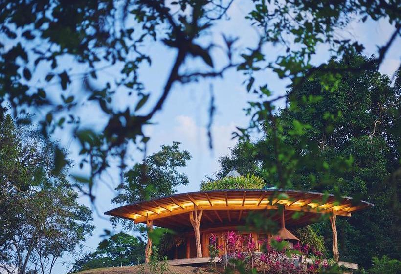 בית מלון כפרי Origins Lodge